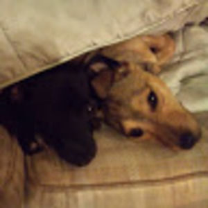 Meet your Posher, Marie